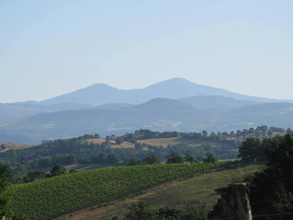 Le Murelle Country Resort Manciano Exteriör bild